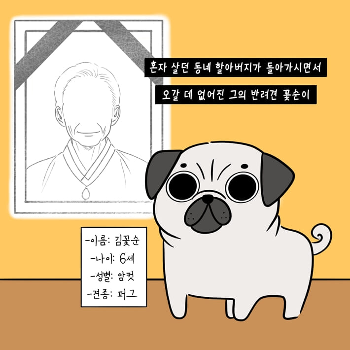 카드뉴스0