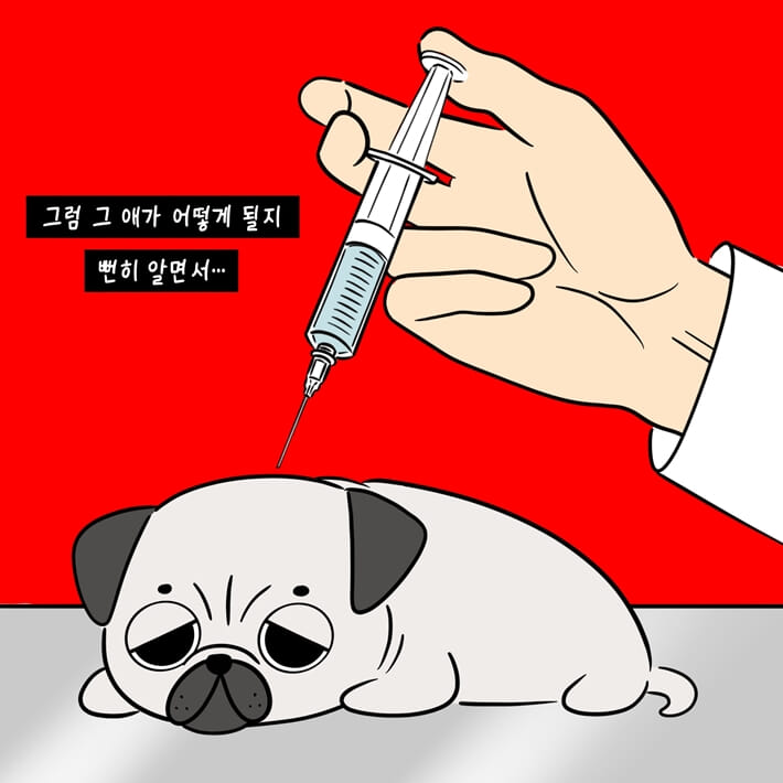 카드뉴스2