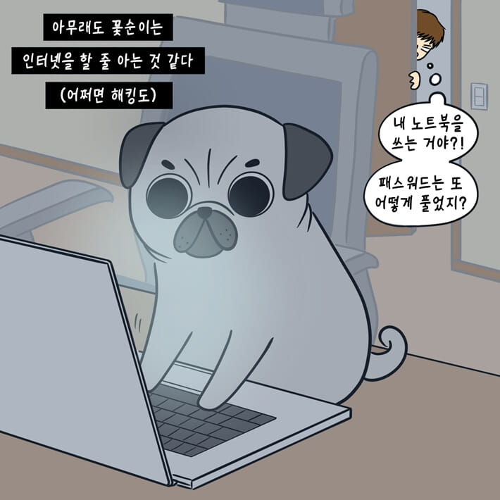 카드뉴스5