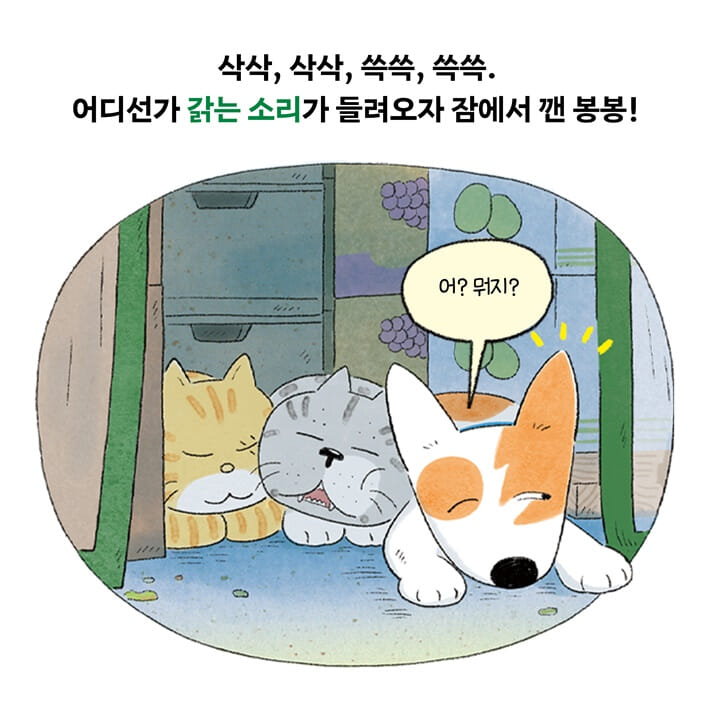 카드뉴스1