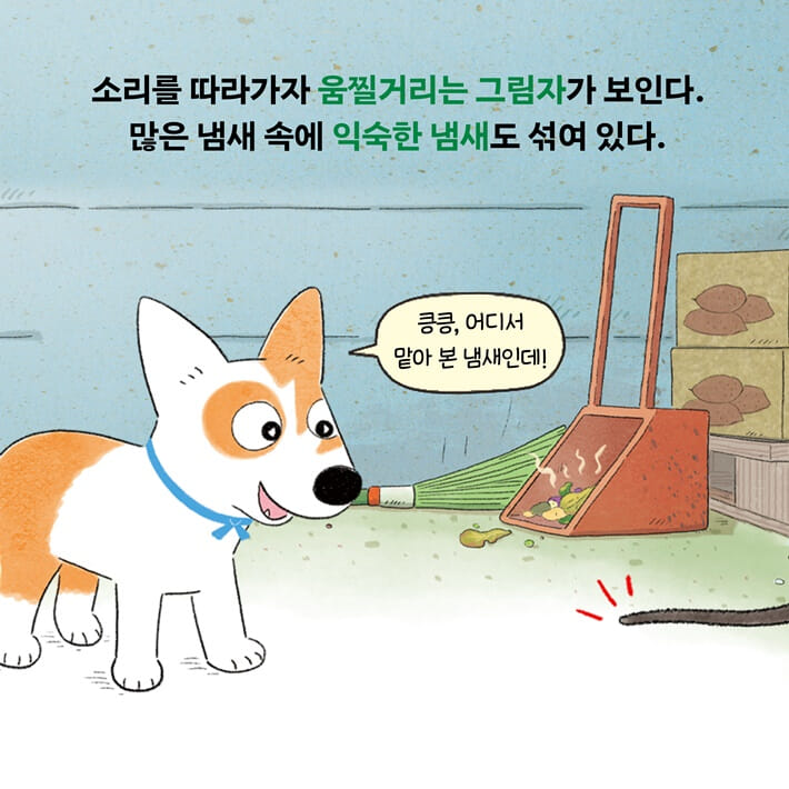 카드뉴스2
