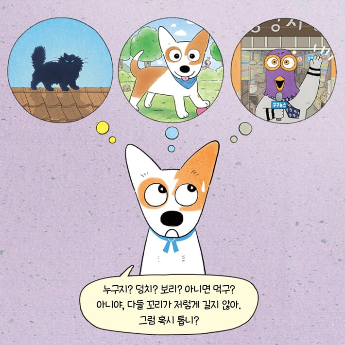 카드뉴스3