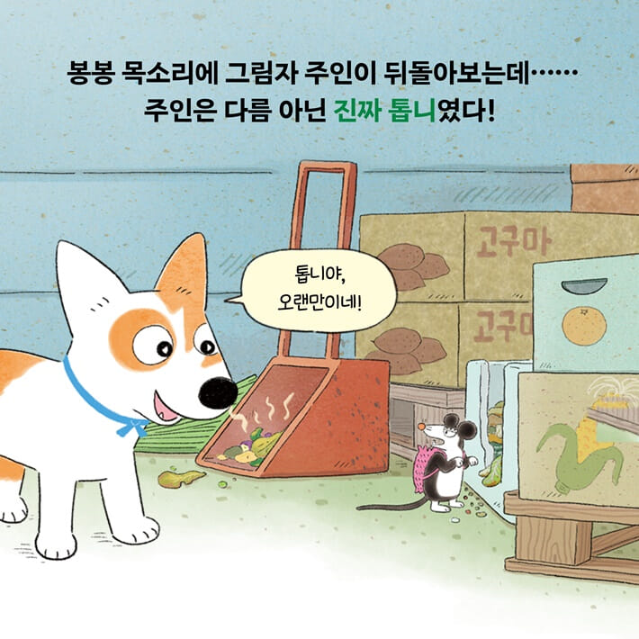 카드뉴스4