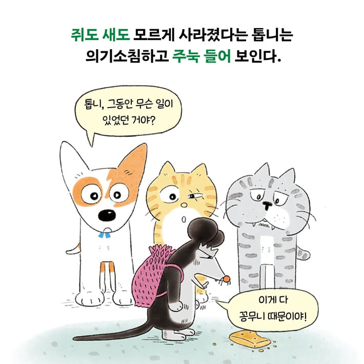 카드뉴스5
