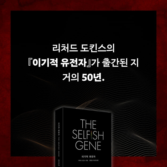 카드뉴스2