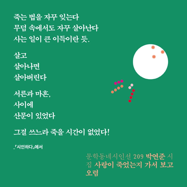 카드뉴스4