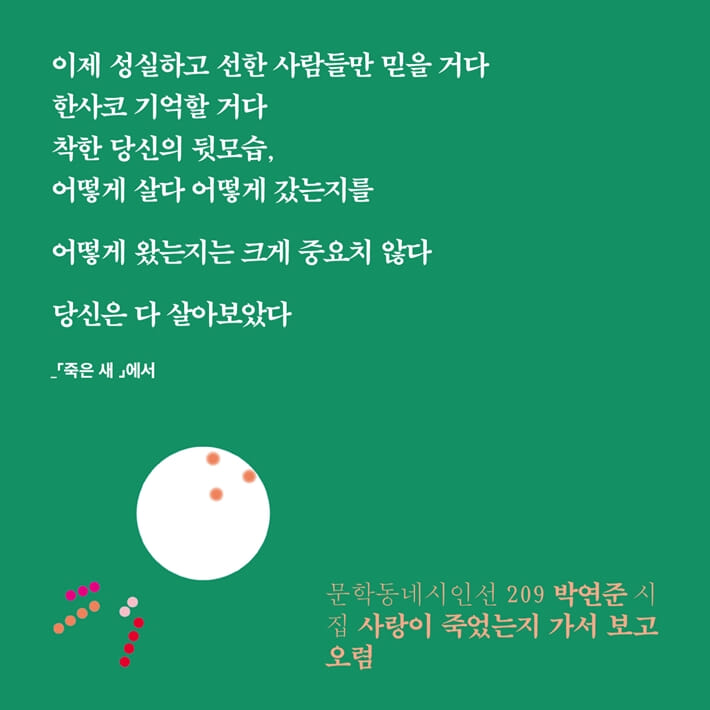 카드뉴스5