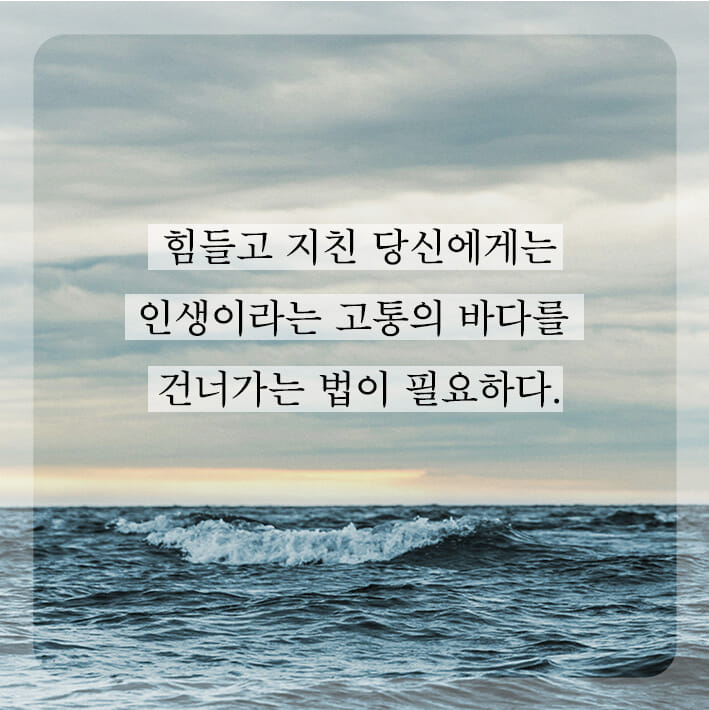 카드뉴스6