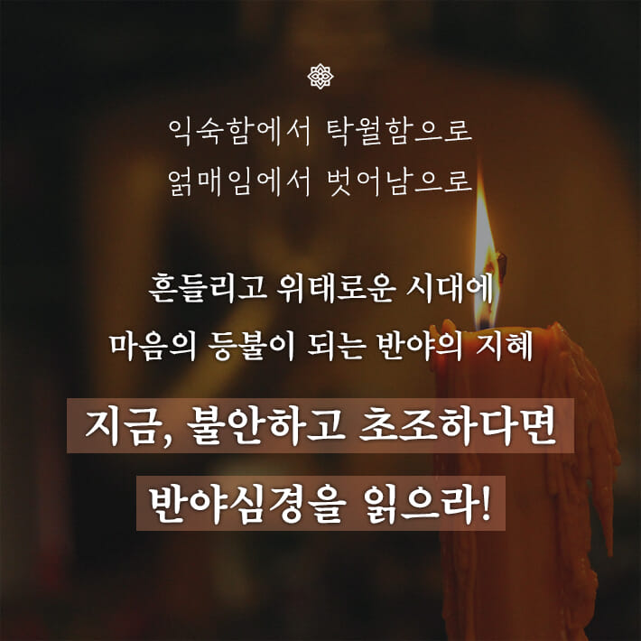 카드뉴스8