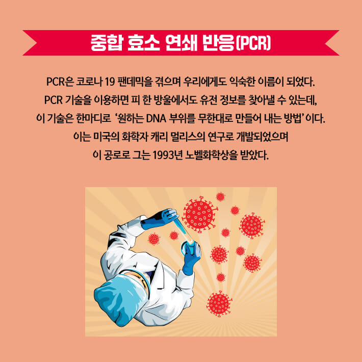 카드뉴스6