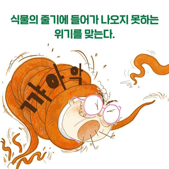 카드뉴스2