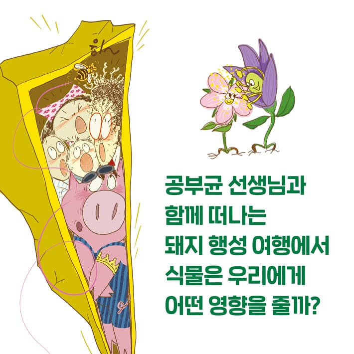카드뉴스3