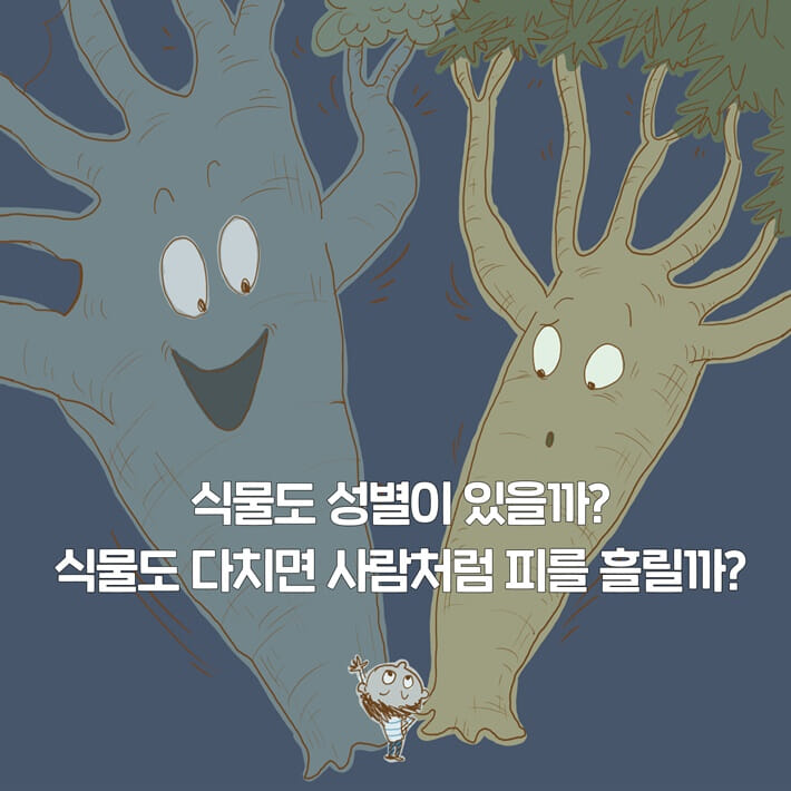 카드뉴스4