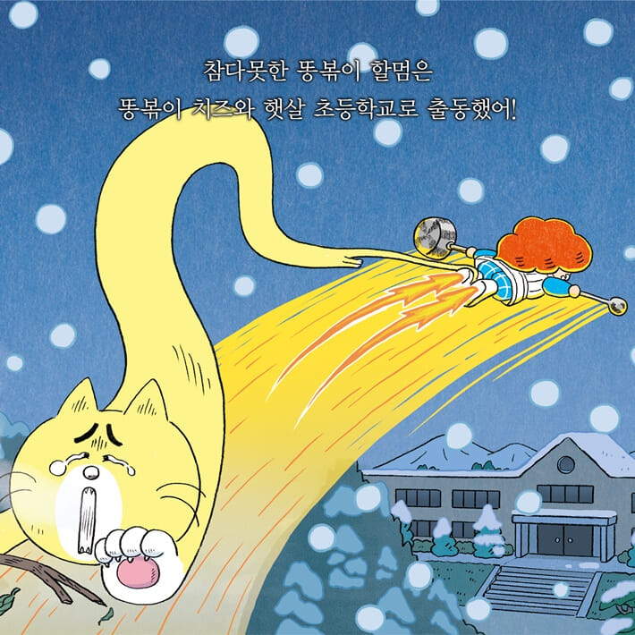 카드뉴스19