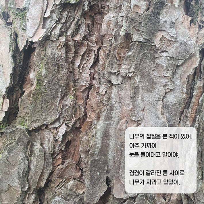 카드뉴스1
