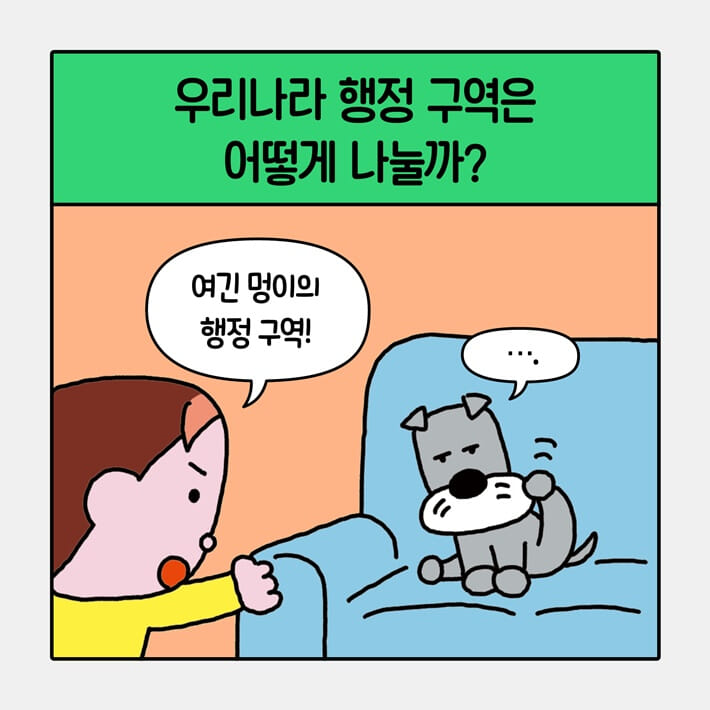 카드뉴스2