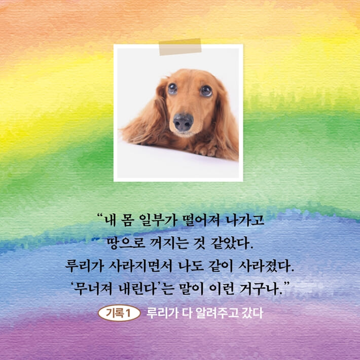 카드뉴스0
