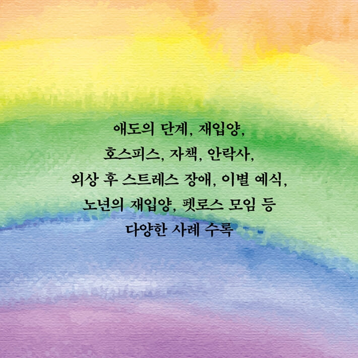 카드뉴스4