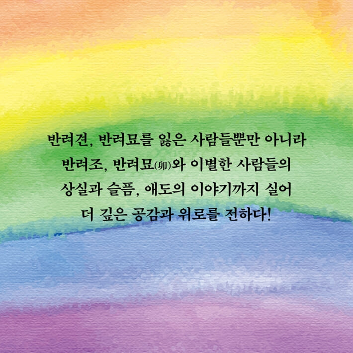 카드뉴스5