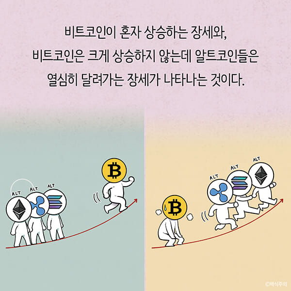 카드뉴스14