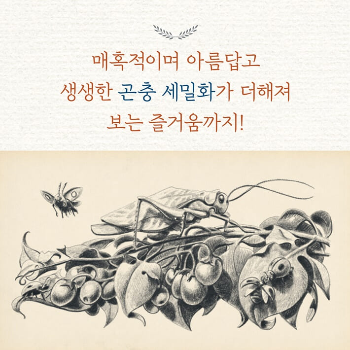 카드뉴스5