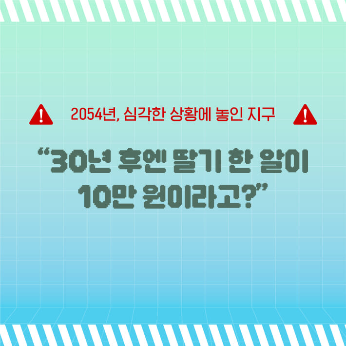 카드뉴스0