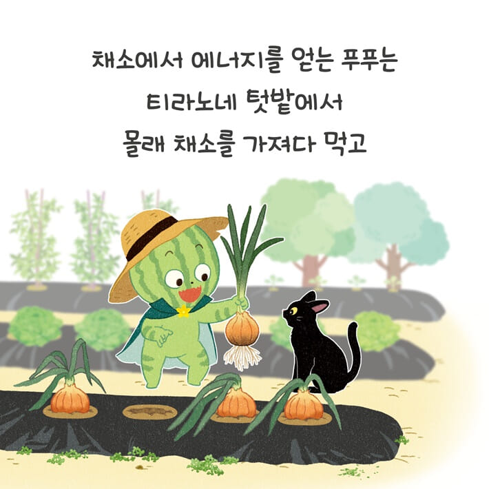 카드뉴스3
