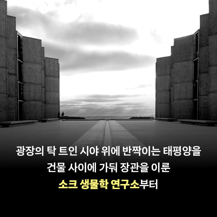 카드뉴스4