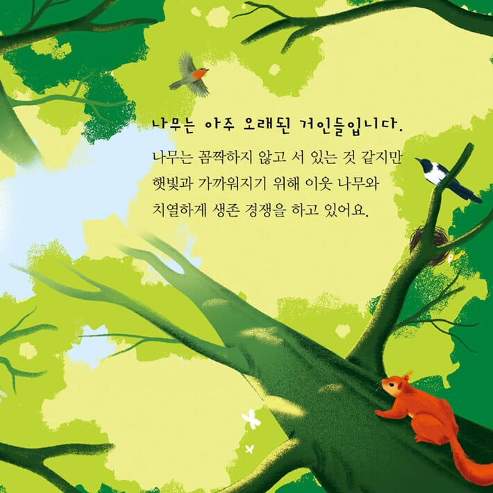 카드뉴스3