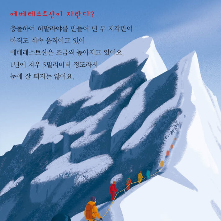 카드뉴스5