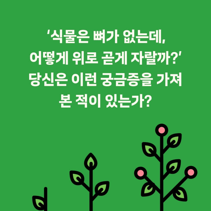 카드뉴스0