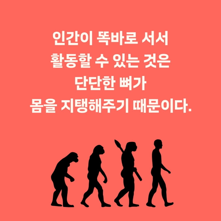 카드뉴스1