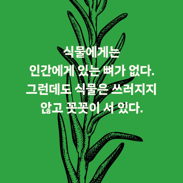 카드뉴스2