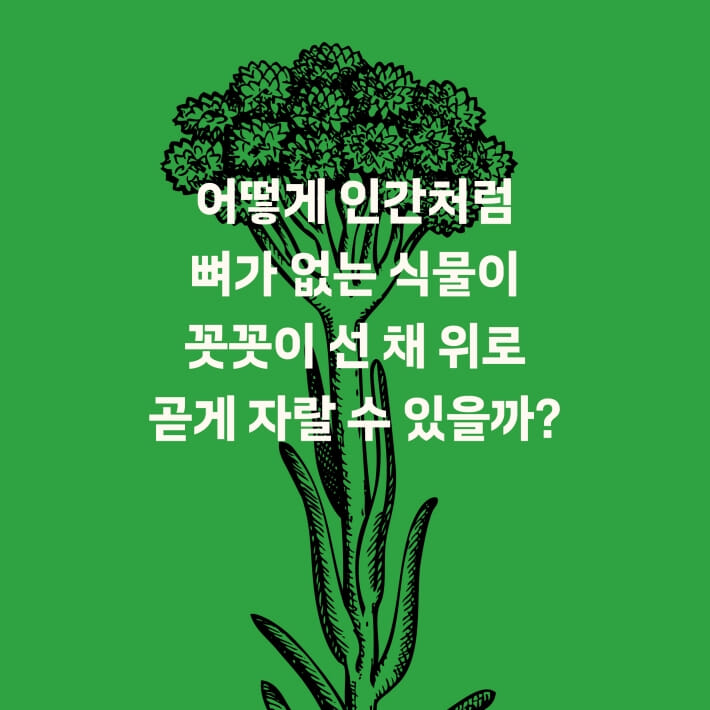 카드뉴스3