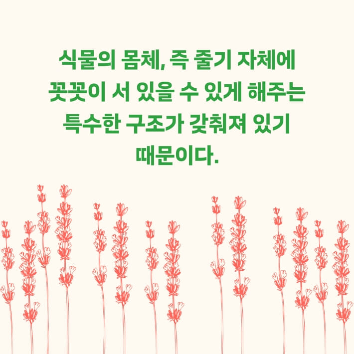 카드뉴스4