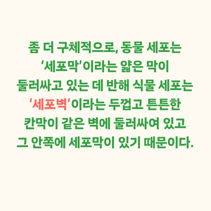 카드뉴스5