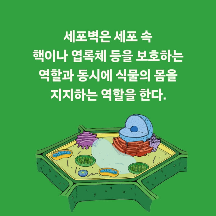카드뉴스6