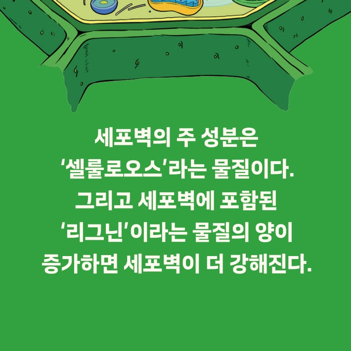 카드뉴스7