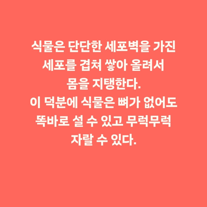 카드뉴스8