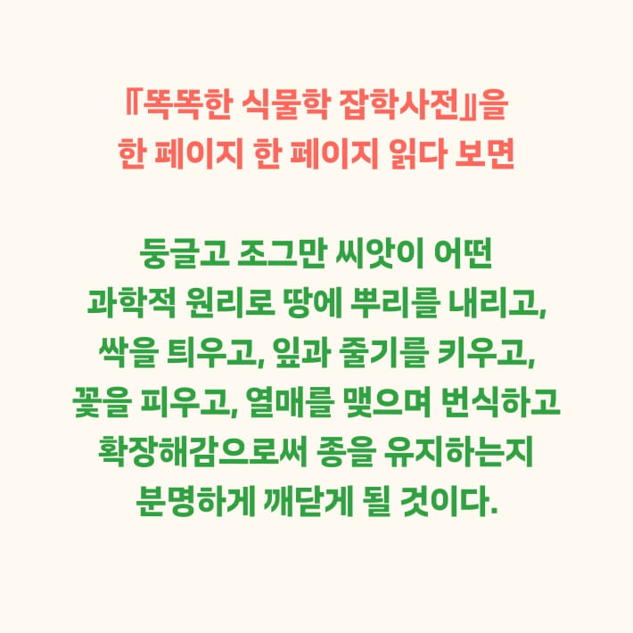 카드뉴스11