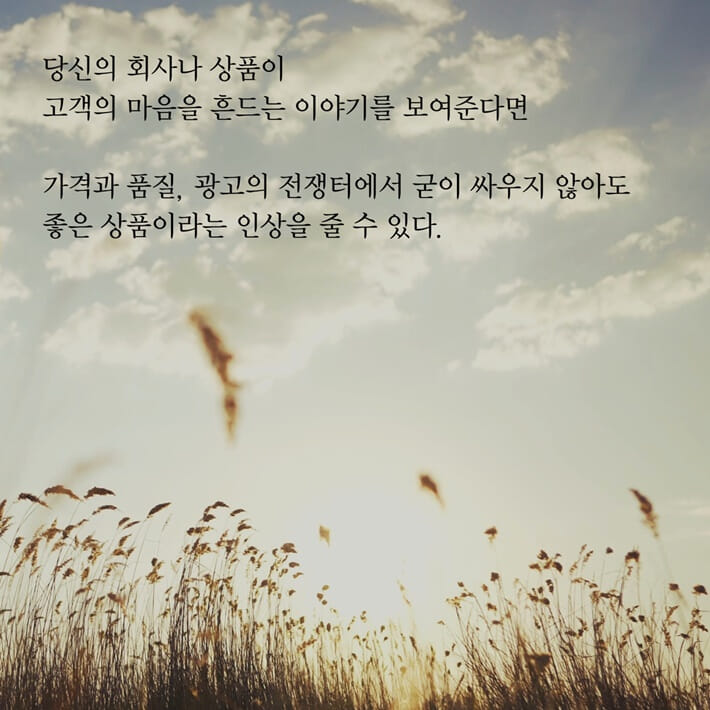 카드뉴스11