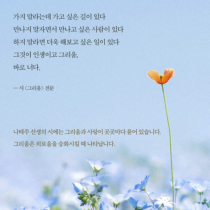 카드뉴스3