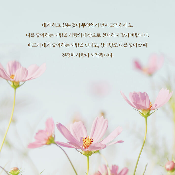 카드뉴스6