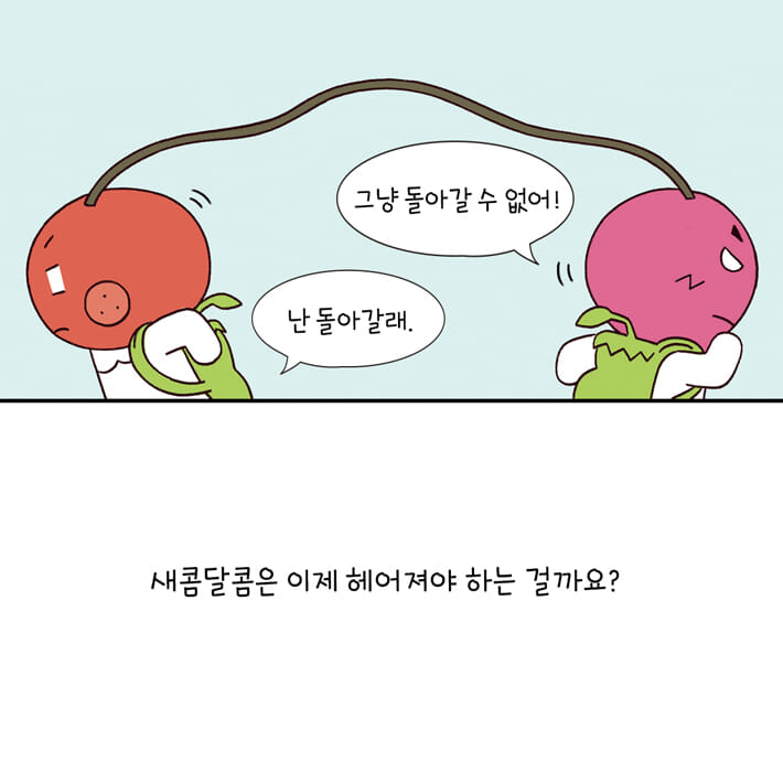 카드뉴스6