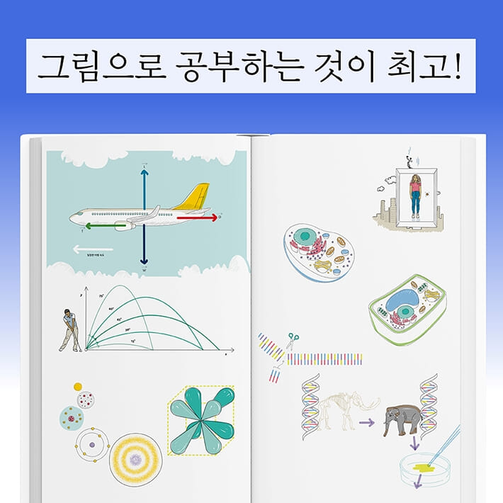 카드뉴스4