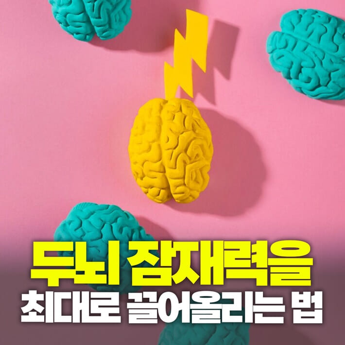 카드뉴스0