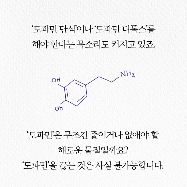카드뉴스2