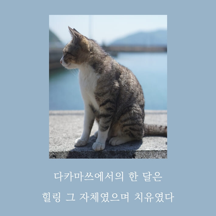 카드뉴스8