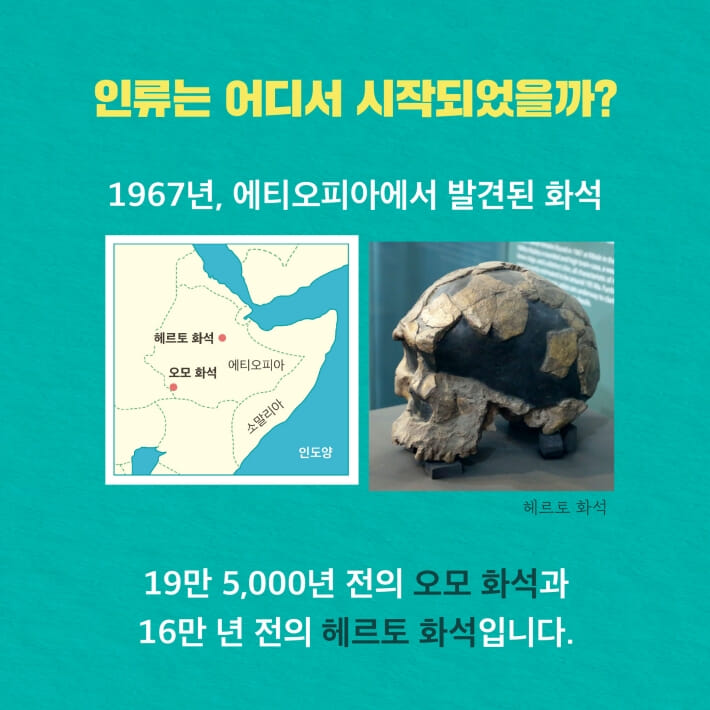 카드뉴스1