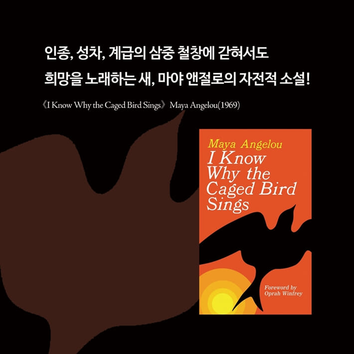 카드뉴스2